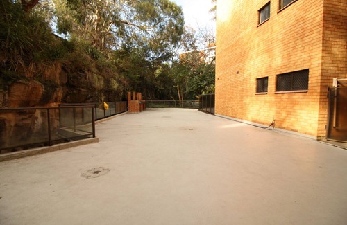 Randwick Apartment | RANDWICK-193SQM-BEACHSIDE-DINNING-SHOPS-TRANSPORT-POOL-SPA-SAUNA-GYM-240SQM YARD