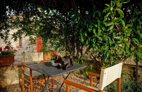 Serre di Rapolano Apartment | Rapolano Terme Apartment Sleeps 3