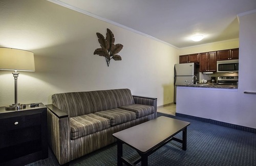 Rocky Point Hotel | Rare Find! Kitchen, Outdoor Pool, FREE Parking, Near Ybor City State Museum!
