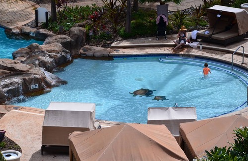 Lahaina Villa | Rare Ocean Front Luxury Villa at the Westin Ka'anapali Ocean Resort