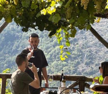 Campinola Bed & Breakfast | Reale Wine Resort