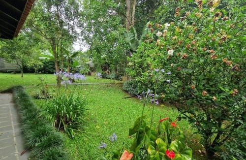 Ribeirao Pires House | Recanto do aconchego São Vicente
