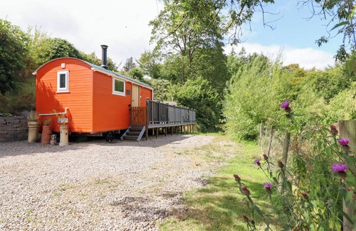 Oswestry Cottage | Red Kite at Wild Valley Huts