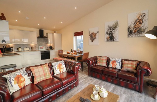 Dornoch Cottage | Red Squirrel