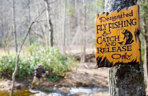 Cherry Log House | Reel Medicine Cabin with Creekside Views in Blue Ridge, GA