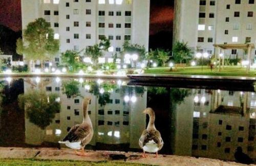 Pinheirinho Apartment | Refúgio Moderno em Condomínio Clube, Conforto e Lazer Completo no Coração da Cidade