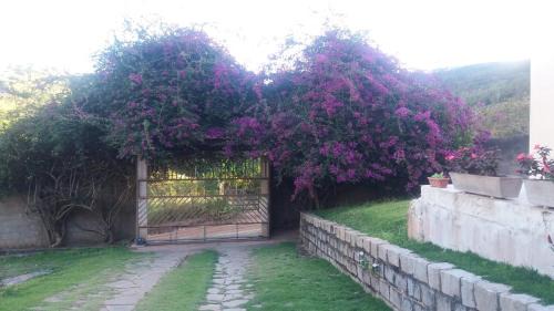 Bananeiras House | Refúgio na Serra