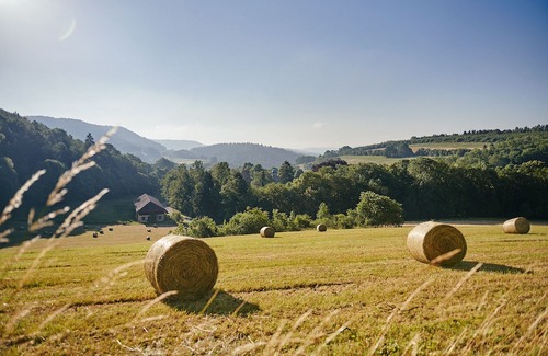 Herleshausen Hotel | Relais & Chateaux Hotel Hohenhaus