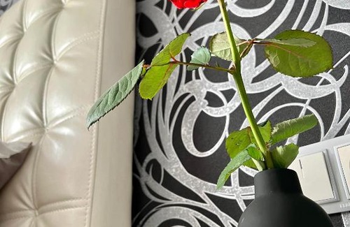 Ternopil Apartment | Relax. Просторі та затишні апартаменти