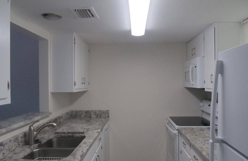 Dunedin Condo | Relax and enjoy life at our updated Dolphin Point Condo in Dunedin