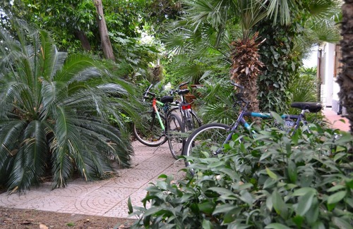 Taggia Apartment | RELAX AT THE SEA - Bike & Beach (citra 008059-LT-0097)cin It008059C2YPSJDI20