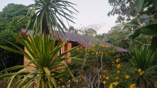 Ranong Resort | Relax House