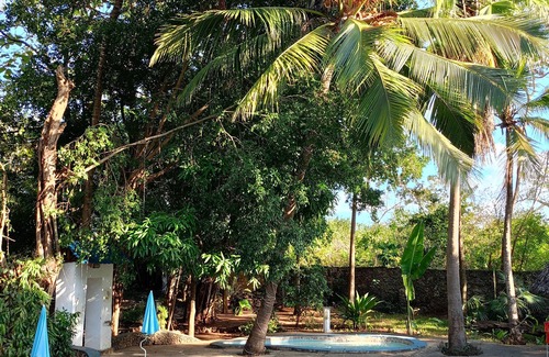 Kwale Apartment | Relax in Paradise: Diani Peaceful Garden, Your Peaceful Beach Getaway