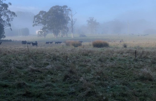 Burrawang House | Relaxing at acreage farmhouse