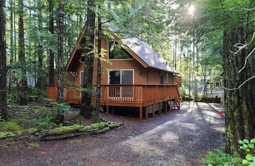 Hoodsport Cabin | Relaxing Cabin Adjacent Olympic National Park/Forest & Beautiful Lake Cushman!