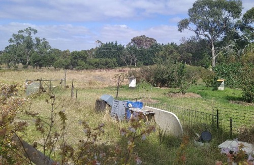 Pearcedale Other | remove my house from the listing
