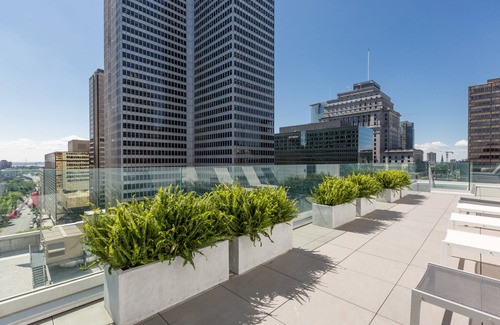 Downtown Montreal Hotel | Renaissance Montreal Downtown Hotel