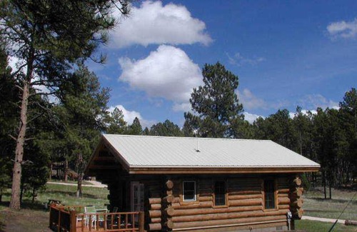 Custer House | Renegade Log Cabin