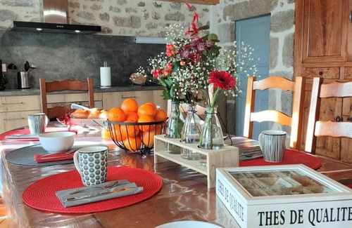 Chalmazel-Jeansagniere Cottage | Renovated stone cottage with garden and WiFi in Chalmazel-Jeansagnière