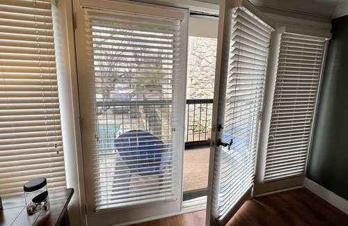 Downtown Knoxville Condo | Renovated, Clean, Beautiful, Cozy Condo in Knoxville, TN
