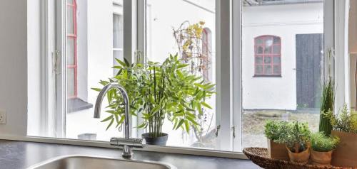 Stege House | Renovated Farmhouse By The Beach On Møn