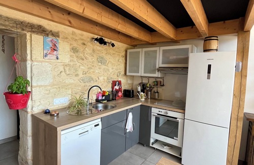 Moulis-en-Medoc House | Renovated former stable, vineyard view and Spa!