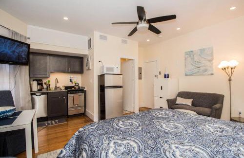 Cleveland Circle House | Renovated, Sunny, Spacious Studio In Boston