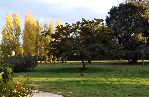 Carpentras Apartment | Rental for 2p in quiet wooded park with swimming pool, possibility for 4p