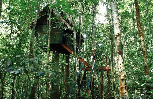 Leticia Cabin | Reserva Natural Tanimboca