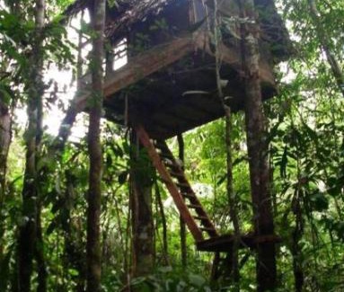 Leticia Cabin | Reserva Natural Tanimboca