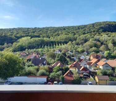 Sighisoara Apartment | Residence House