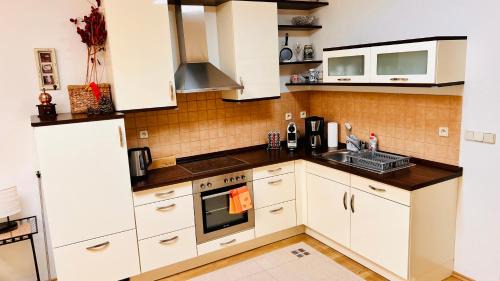 Marianske Lazne Apartment | RESIDENCE KOLONADA 60qm 2 rooms Apartment in best Location direct at famous Colonnade and Singing Fountain