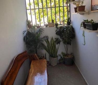 Plano Diretor Sul Apartment | Residencial Jasmim Apto 4