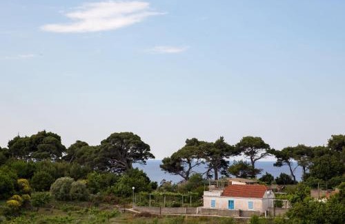Kolocep Island Villa | Restful Villa in Dalmatia with Garden