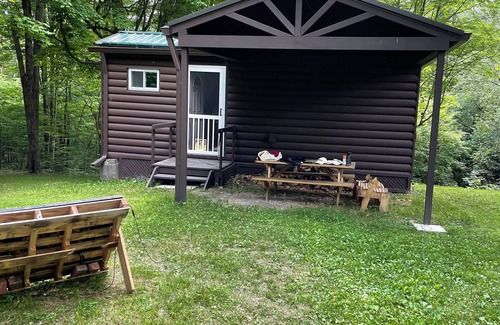 Prattsburgh Cabin | Retreat from Modern Life - Off Grid Cozy Cabin in the Woods on 20 Acres of Land