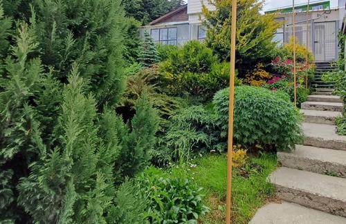 Province of Tierra del Fuego Apartment | Retreat to this haven along Route 3, with a sunlit ambiance and garden view.