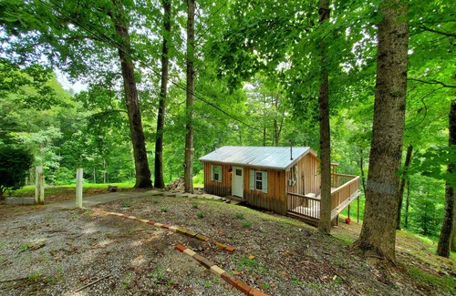 Smithville Cabin | Retreat to Your Private Haven in the Trees