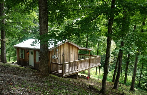 Smithville Cabin | Retreat to Your Private Haven in the Trees