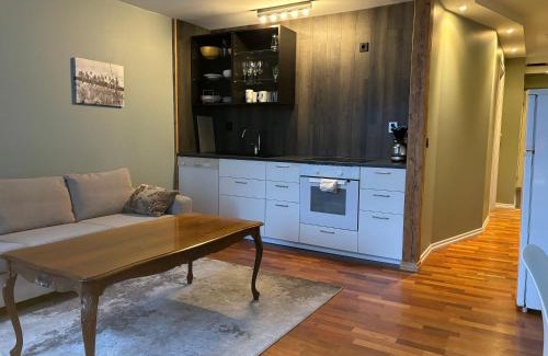 Engen Apartment | Retro Apartment