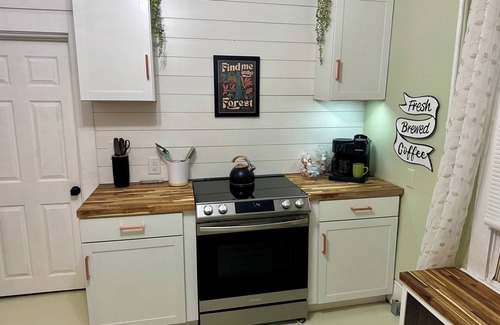Old Southwest Apartment | Reynard's Bliss - Historic Roanoke Apt Near Carilion & Downtown - Pet Friendly