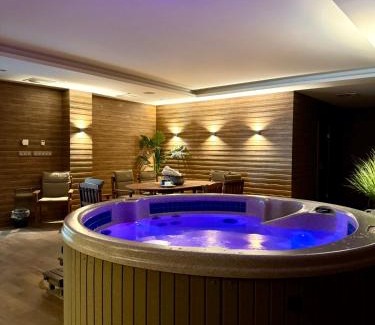Karlovy Vary Apartment | Rezidence Moser Plus