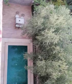 Ibrrahne House | Riad Tazawa