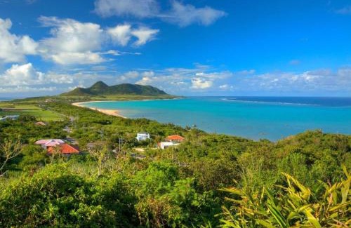 Ishigaki Hotel | Rich Reson ISHIGAKI