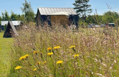 Kurzeme House | Rita Sapnis