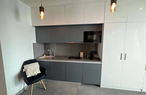Noida Apartment | River facing ultracozy bohemian studio apartment @ 41st floor near south Delhi