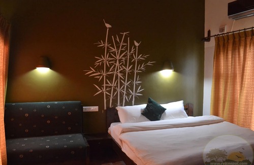 Sauraha Hotel | River View Jungle Camp