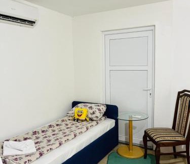 Mali Radic Apartment | River view studio apartman