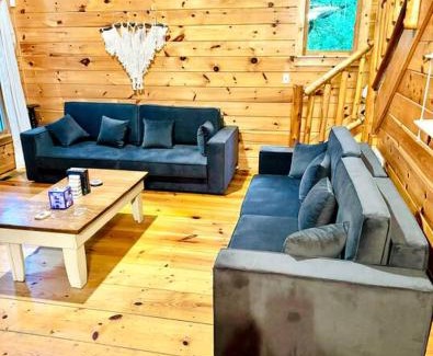 Ellijay House | Riveredge Escape Cabin-Flowing Waterfront-Hot Tub-Pools-Xbox-Pickleball