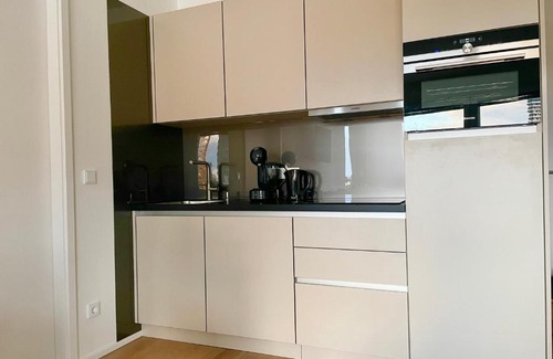 Kaisermuhlen Apartment | Riverfront Apartment with Balcony & AC