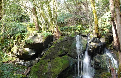 Orleans Cabin | Riverside Cabins in the Klamath Mountains